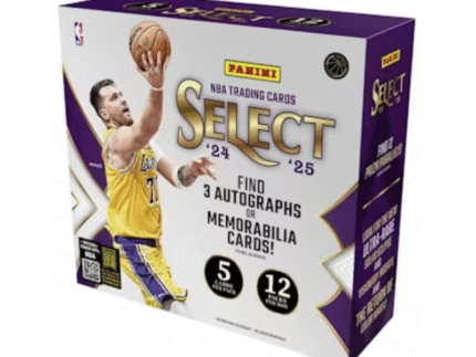 2024/25 Panini Select Basketball Hobby 12 Box Case