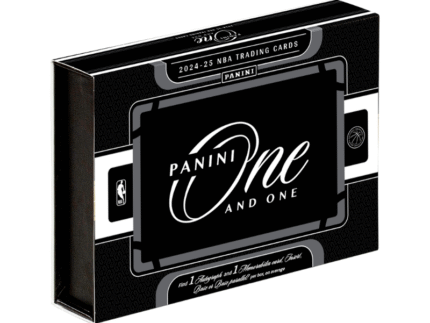 2024/25 Panini One & One Basketball Hobby 10 Box Case